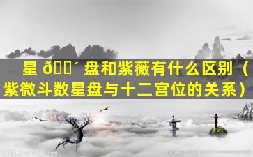 星 🐴 盘和紫薇有什么区别（紫微斗数星盘与十二宫位的关系）